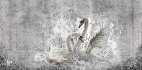 Production 100% néerlandaise! │ Peinture de diamants │ Panorama Romantique Swans │ Taille 80 x 40 cm │ Peinture de diamants Package Mature │ Full Cover │ Square │ Full │ Flitzz Peinture de diamants