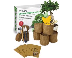 Qubis Bonsai Starters Kit - 23 Delige Kweekset - 5 Soorten Premium Zaden - DIY Pakket - Binnen Bonsai Boompje Kweken -  Incl. Rouwvliegjes Vanger