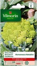 Vilmorin- Bloemkool- Romanesco Natalio- V839