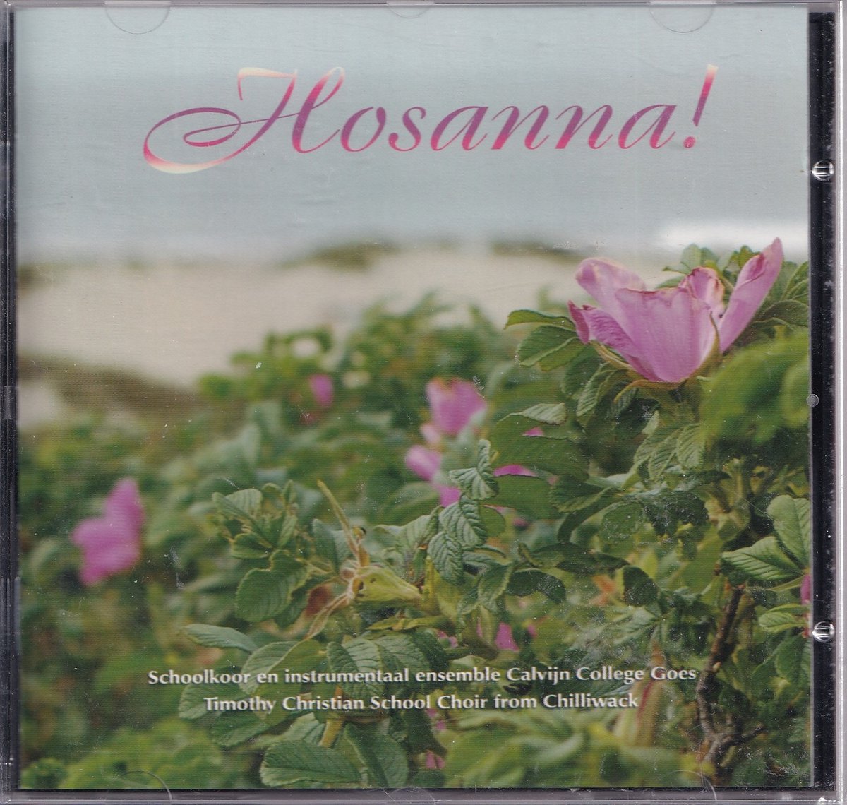 Hosanna! - Schoolkoor Calvijn College Goes o.l.v. Kok van Luik