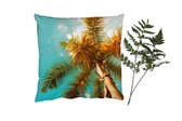 Coussins Coussins décoratifs - Oreillers Salon - 60x60 cm - Palmier - Été - Tropical