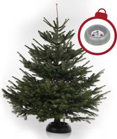 Echte Nordmann Kerstboom - 160-175 cm - A-kwaliteit - MET Quicktreestand Kerstboomstandaard BETONLOOK