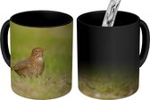 Magische Mok - Foto op Warmte Mok - Een Zanglijster die door het gras loopt - 350 ML
