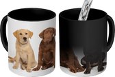 Magische Mok - Foto op Warmte Mokken - Koffiemok - 4 verschillende kleuren Labrador Retriever pups - Magic Mok - Beker - 350 ML - Theemok