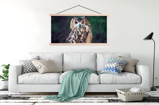 Porte-affiche avec affiche - Affiche scolaire - Hibou grand-duc - 120x60 cm - Lattes vierges