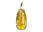Exclusieve zilveren hanger Amber / Barnsteen 925 zilver