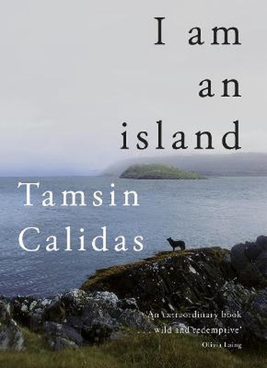 Boek cover I Am An Island van Tamsin Calidas (Hardcover)