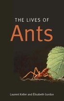 Lives of Ants C