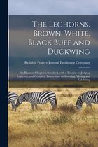 The Leghorns, Brown, White, Black Buff and Duckwing
