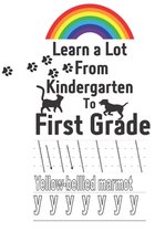 Learn a Lot From Kindergarten to First Grade