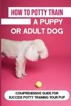 How To Potty Train A Puppy Or Adult Dog