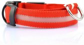 Lichtgevende Halsband Hond – LED Halsband – Maat S - 35/43 cm - Verlichting hond – Honden lampje - Hondenhalsband inclusief batterijen - Honden verlichting - Rood