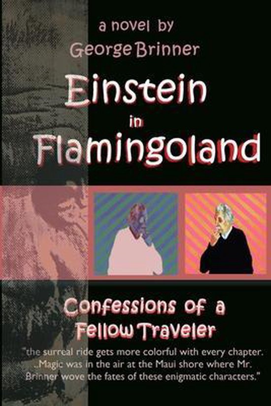 Einstein in Flamingoland - cover