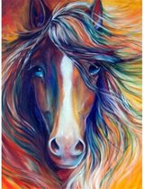 Diamond Painting - Paard - Multicolor - 40x50 cm - Vierkante Steentjes - Dieren - Volwassenen - Hobby - Cadeau - Moederdag - Kado