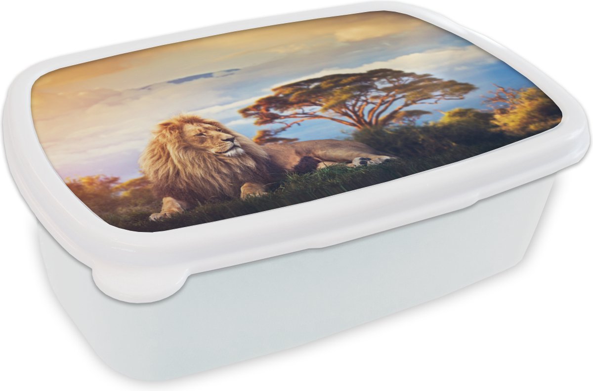 Broodtrommel Wit - Lunchbox - Brooddoos - Leeuw - Schilderij - Afrika - 18x12x6 cm - Volwassenen