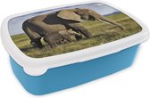 Broodtrommel Blauw - Lunchbox - Brooddoos - Moeder en baby olifant door de savanne - 18x12x6 cm - Kinderen - Jongen