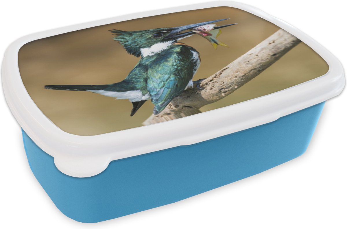 Broodtrommel Blauw - Lunchbox - Brooddoos - Vogel - Vis - Tak - 18x12x6 cm - Kinderen - Jongen