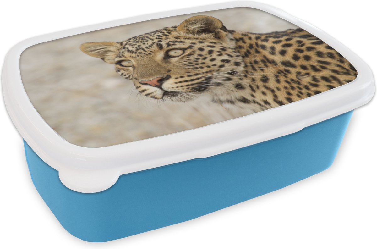 Broodtrommel Blauw - Lunchbox - Brooddoos - Luipaard - Macro - Bruin - 18x12x6 cm - Kinderen - Jongen