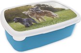 Broodtrommel Blauw - Lunchbox - Brooddoos - Hond - Park - Gras - 18x12x6 cm - Kinderen - Jongen