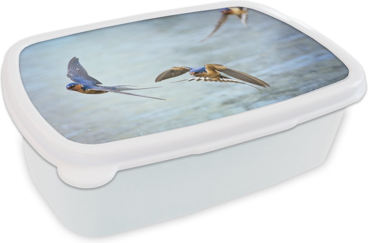 Broodtrommel Wit - Lunchbox - Brooddoos - Zwaluw - Water - Blauw - 18x12x6 cm - Volwassenen
