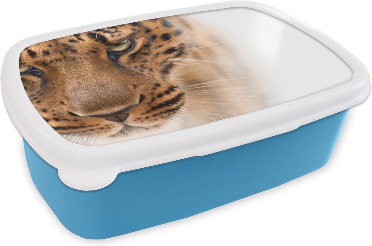 Broodtrommel Blauw - Lunchbox - Brooddoos - Luipaard - Vacht - Wit - 18x12x6 cm - Kinderen - Jongen