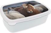 Broodtrommel Wit - Lunchbox - Brooddoos - Close-up van een bruine IJslander tussen witte paarden - 18x12x6 cm - Volwassenen