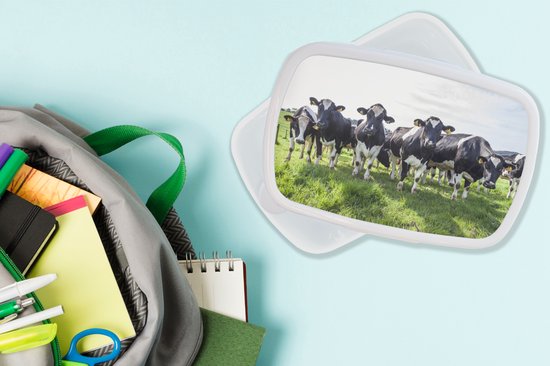 Boîte à pain Wit - Boîte à lunch - Boîte à pain - Vaches - Léger - Printemps - 18x12x6 cm - Adultes - Cadeau Sinterklaas - Distribution de cadeaux pour enfants - Cadeaux chaussures Sinterklaas