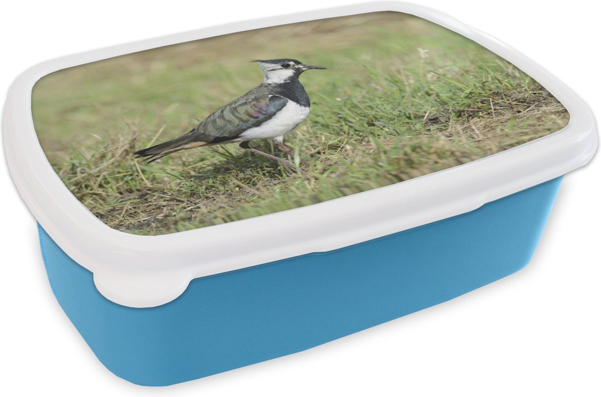 Broodtrommel Blauw - Lunchbox - Brooddoos - Kievit in een weide - 18x12x6 cm - Kinderen - Jongen