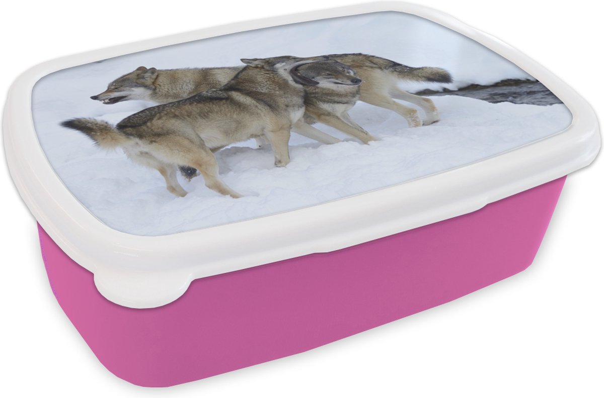 Broodtrommel Roze - Lunchbox - Brooddoos - Wolf - Europa - Sneeuw - 18x12x6 cm - Kinderen - Meisje