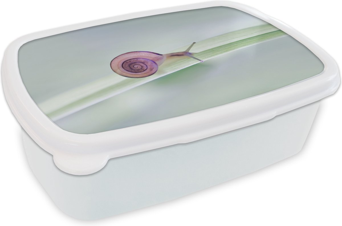 Broodtrommel Wit - Lunchbox - Brooddoos - Kleine slak - 18x12x6 cm - Volwassenen