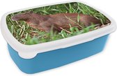 Broodtrommel Blauw - Lunchbox - Brooddoos - Een Capibara zittend op de rivieroever in het moerasgebied van Pantanal - 18x12x6 cm - Kinderen - Jongen