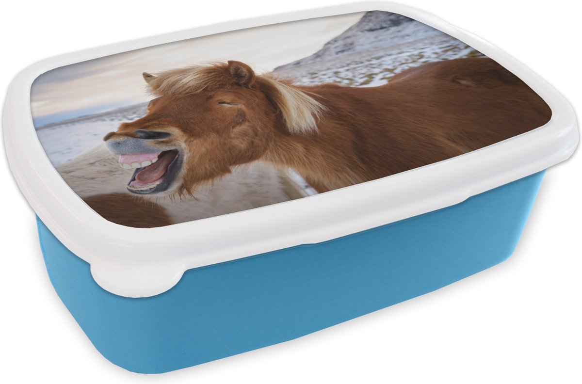 Broodtrommel Blauw - Lunchbox - Brooddoos - Paard - Strand - Bruin - 18x12x6 cm - Kinderen - Jongen