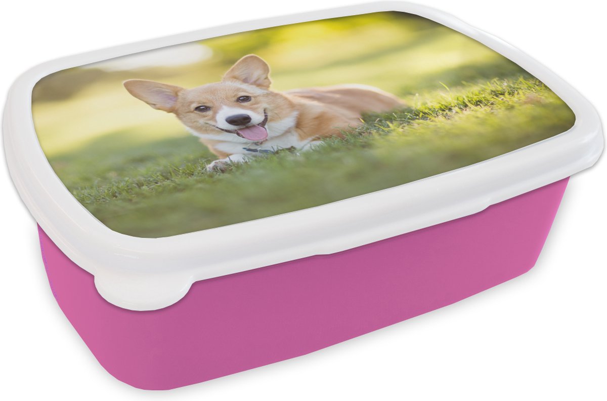 Broodtrommel Roze - Lunchbox - Brooddoos - Welsh Corgi-puppy - 18x12x6 cm - Kinderen - Meisje