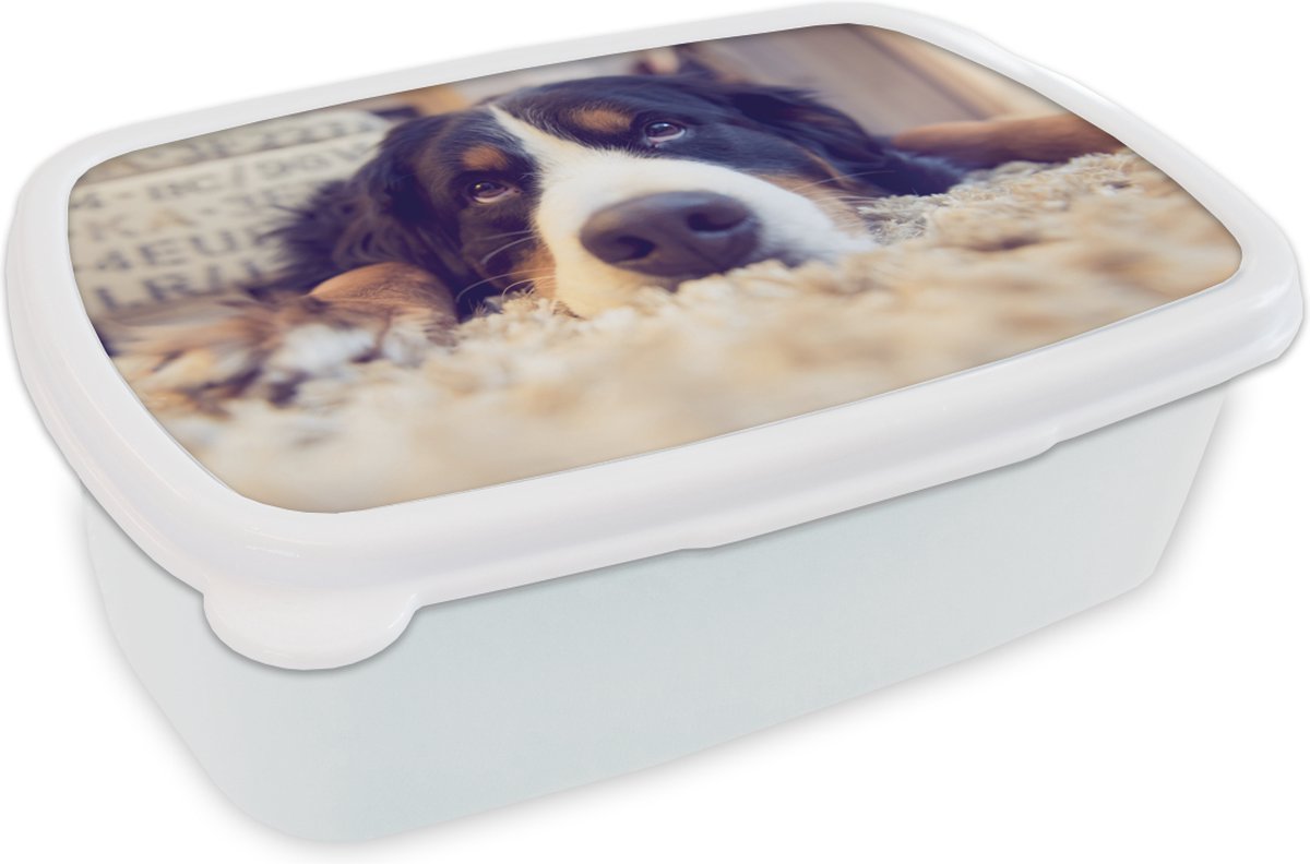 Broodtrommel Wit - Lunchbox - Brooddoos - Berner Sennenhond ligt op een zacht tapijt - 18x12x6 cm - Volwassenen