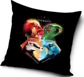 Harry Potter Hogwarts Draco Sierkussens - Kussen - 40 x 40 inclusief vulling - Kussen van Polyester - KledingDroom®