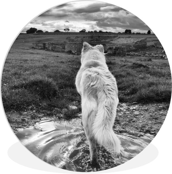 WallCircle - Wandcirkel ⌀ 30 - Wolf uitkijkend over landschap in zwart-wit - Ronde schilderijen woonkamer - Wandbord rond - Muurdecoratie cirkel - Kamer decoratie binnen - Wanddecoratie muurcirkel - Woonaccessoires