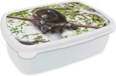 Broodtrommel Wit - Lunchbox - Brooddoos - Aap - Tak - Dier - 18x12x6 cm - Volwassenen