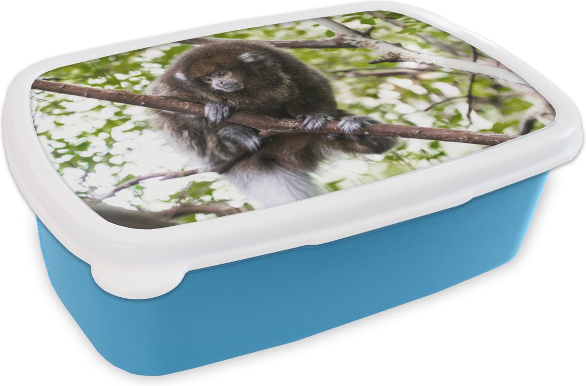 Broodtrommel Blauw - Lunchbox - Brooddoos - Aap - Tak - Dier - 18x12x6 cm - Kinderen - Jongen