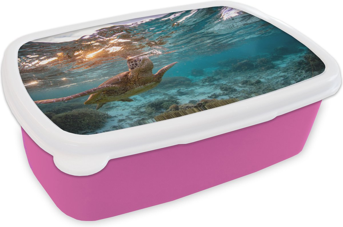 Broodtrommel Roze - Lunchbox - Brooddoos - Zee - Schildpad - Kleuren - 18x12x6 cm - Kinderen - Meisje