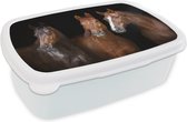Broodtrommel Wit - Lunchbox Paarden - Dieren - Zwart - Portret - Brooddoos 18x12x6 cm - Brood lunch box - Broodtrommels voor kinderen en volwassenen