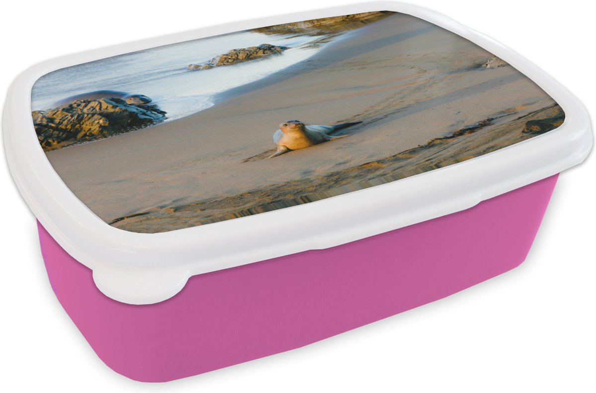 Broodtrommel Roze - Lunchbox - Brooddoos - Dieren - Zeehond - Strand - 18x12x6 cm - Kinderen - Meisje