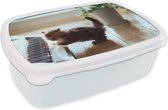 Broodtrommel Wit - Lunchbox - Brooddoos - Kat - Dier - Kitten - 18x12x6 cm - Volwassenen