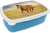 Broodtrommel Blauw - Lunchbox - Brooddoos - Paard - Zon - Gras - Dier - 18x12x6 cm - Kinderen - Jongen