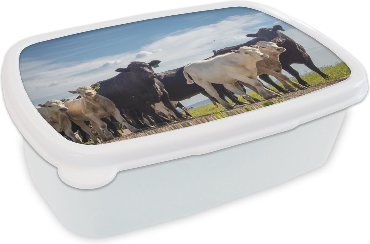 Broodtrommel Wit - Lunchbox - Brooddoos - Dieren - Koe - Lucht - 18x12x6 cm - Volwassenen