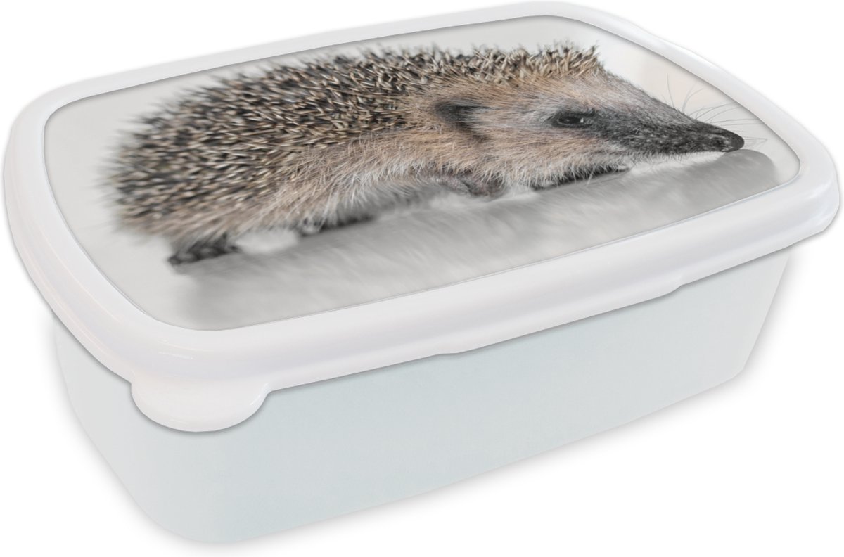 Broodtrommel Wit - Lunchbox - Brooddoos - Egel op witte ondergrond - 18x12x6 cm - Volwassenen