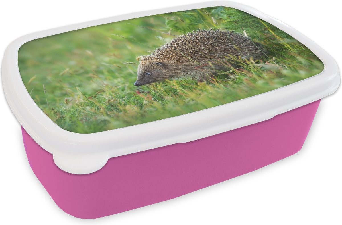Broodtrommel Roze - Lunchbox - Brooddoos - Egel staat in grasveld - 18x12x6 cm - Kinderen - Meisje
