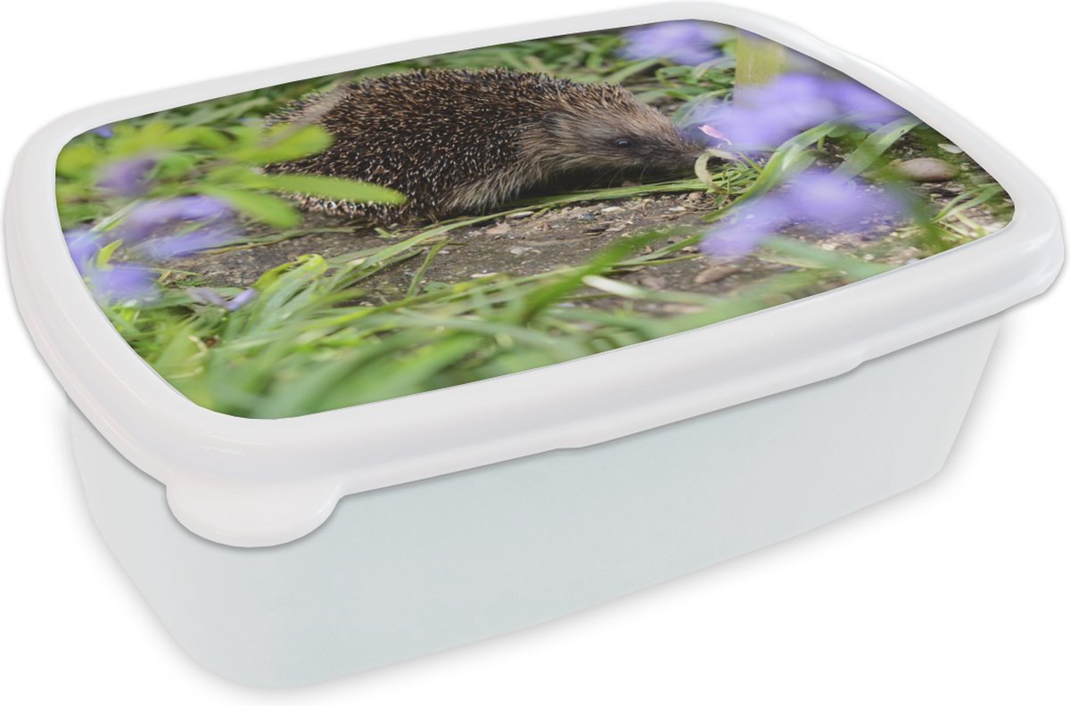 Broodtrommel Wit - Lunchbox - Brooddoos - Egel achter bloemen - 18x12x6 cm - Volwassenen