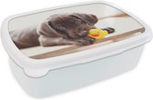 Broodtrommel Wit - Lunchbox Chocolate Labrador Retriever puppy - Brooddoos 18x12x6 cm - Brood lunch box - Broodtrommels voor kinderen en volwassenen