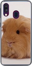 Coque Samsung Galaxy A40 - Cochon d'Inde Sheltie - Siliconen - Sinterklaas - Noël - Cadeaux - Cadeaux chaussures