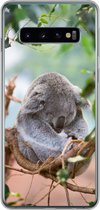 Geschikt voor Samsung Galaxy S10 hoesje - Koala - Takken - Slapen - Kinderen - Jongens - Meiden - Siliconen Telefoonhoesje